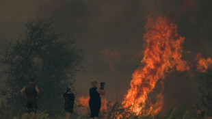 Aude: l'avanc&eacute;e du feu ralentit pendant la nuit, neuf bless&eacute;s, l'A9 ferm&eacute;e