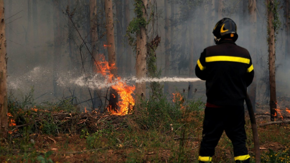 Vague de chaleur au Chili: les incendies menacent d'autres r&eacute;gions