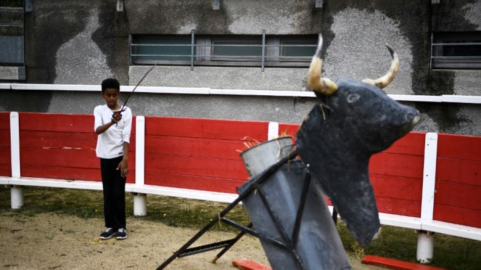 La propuesta para prohibir las corridas a los menores de 16 a&ntilde;os indigna a los aficionados en Francia