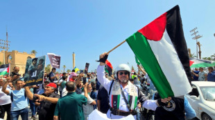 Mundo teve em 2024 o maior n&uacute;mero de conflitos desde 1946, segundo estudo
