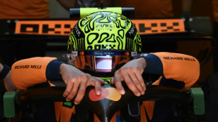 F1 title pretender Norris fastest in second Monza practice