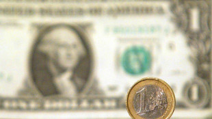Euro poco mosso, scambiato a 1,1411 dollari