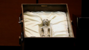 Alleged bodies of 'non-human beings' shown in Mexican Congress