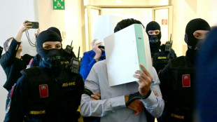 Le suspect plaide coupable du projet d'attentat contre un concert de Taylor Swift &agrave; Vienne