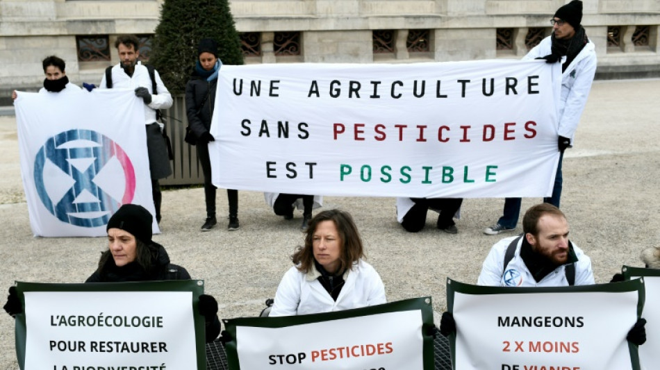 Des scientifiques organisent un cort&egrave;ge fun&egrave;bre pour les insectes &agrave; Paris