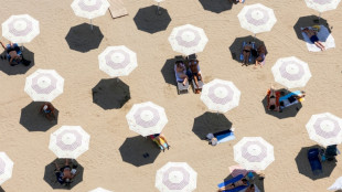 Aumentan las demandas judiciales contra la políticas climáticas, según un estudio