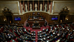 "Plusieurs appels par jour, c'&eacute;tait infernal": le Parlement s'appr&ecirc;te &agrave; interdire le d&eacute;marchage t&eacute;l&eacute;phonique non consenti