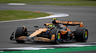F1:Germania;Norris sempre il pi&ugrave; veloce, sue anche le 2/e libere
