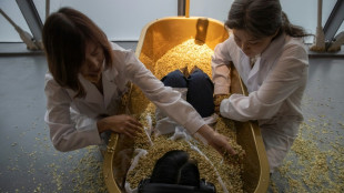 Ba&ntilde;eras llenas de flores o separar granos de arroz: la exposici&oacute;n "inmersiva" de Abramovic en Shangh&aacute;i