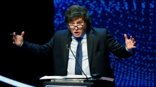 Milei confirma plano de dolarizar Argentina e d&oacute;lar informal atinge recorde