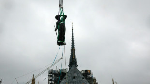 Notre-Dame gets back St Thomas statue adorning spire base 