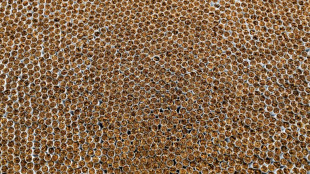 Fast 21 Millionen Zigaretten bei Razzia in Nordrhein-Westfalen beschlagnahmt