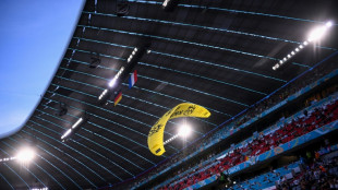 Geldstrafe nach missgl&uuml;ckter Greenpeace-Aktion bei Fu&szlig;balleuropameisterschaft