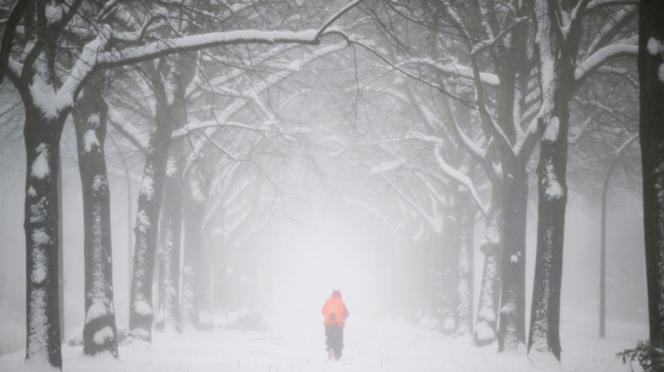Frost im Nordosten, mildes Wetter am Rhein: Februar startet mit Temperaturgef&auml;lle
