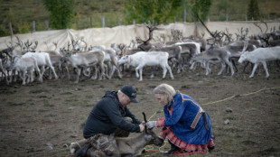 La transici&oacute;n verde amenaza los derechos de los samis, dice Amnist&iacute;a Internacional