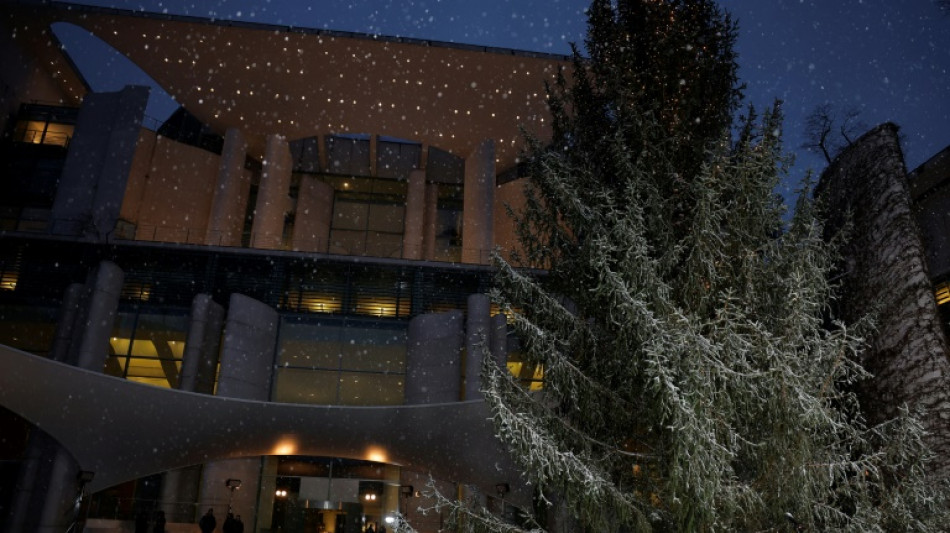 Einfuhr von Weihnachtsb&auml;umen stark zur&uuml;ckgegangen 