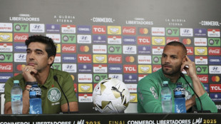 Weverton pode ser surpresa no Palmeiras para final da Libertadores