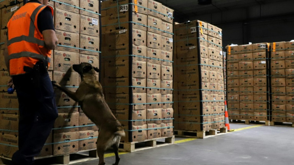 La investigaci&oacute;n de Sky ECC revela los m&eacute;todos despiadados de los narcotraficantes en Europa