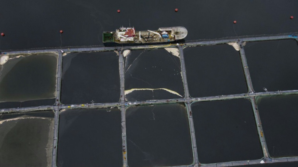 Chile rechaza entregar mar explotado por salmoneras a comunidades ind&iacute;genas