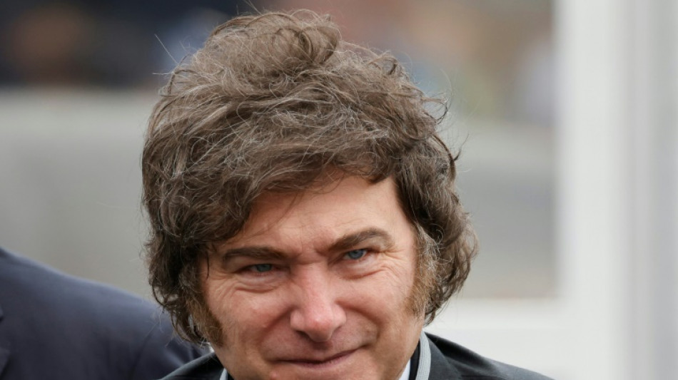 El gobierno argentino autoriza a civiles la compra de armas semiautom&aacute;ticas y de asalto