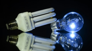 &Eacute;lectricit&eacute;: la facture baissera de 15% pour la plupart des m&eacute;nages au 1er f&eacute;vrier