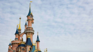 Fran&ccedil;a acusa brit&acirc;nico por encenar casamento com menor de idade na Disney