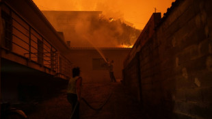 "&iexcl;Tuvimos tanto miedo!", relatan los afectados de los devastadores incendios en Portugal