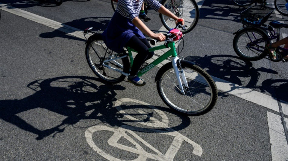 Statistik: Jedes sechste Todesopfer im Straßenverkehr fuhr mit dem Fahrrad
