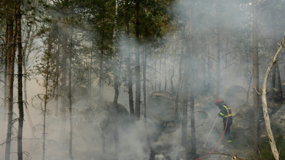 Dans la for&ecirc;t de Fontainebleau, les pompiers luttent toujours pour arr&ecirc;ter la propagation des feux