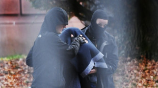 Siete detenidos en Alemania por apoyo financiero al Estado Isl&aacute;mico