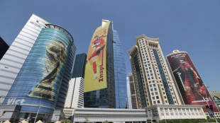 El Mundial-2022, entre la neutralidad de carbono y la "aberración ecológica"