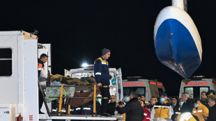 Sospechas de que un misil ruso pudo derribar el avi&oacute;n ca&iacute;do en Kazajist&aacute;n