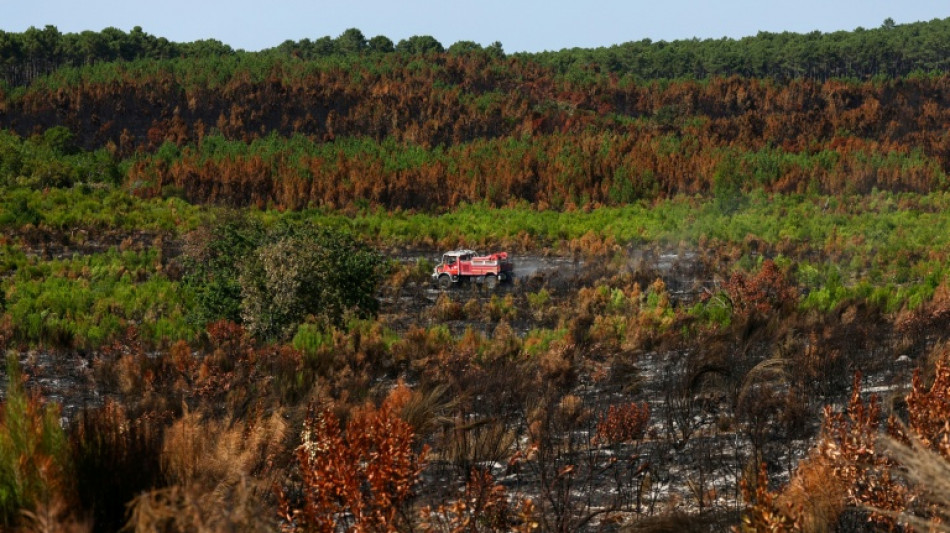Incendies: situation stable dans le Var et en Gironde, les pompiers poursuivent leurs efforts