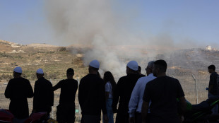 'Morti negli scontri in citt&agrave; siriana Sweida salgono a 350'