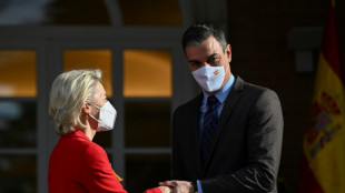 &iquest;Puede ser Espa&ntilde;a un proveedor alternativo de gas a Europa?