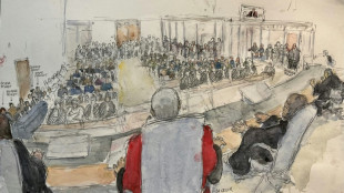 Hombres no identificados eluden la justicia en el caso de Gis&egrave;le Pelicot en Francia