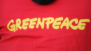 Face au ralentissement des dons, Greenpeace France va supprimer un quart de ses effectifs