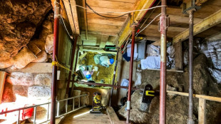 Quand Homo sapiens s'aventurait dans le froid du nord europ&eacute;en, il y a 45.000 ans