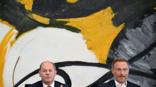 "Ampel" will Strompreisbremse mit Gewinnabsch&ouml;pfung bei Energiefirmen finanzieren