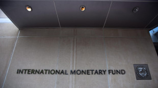 Fmi a Paesi Ue, serve un piano credibile per le spese difesa