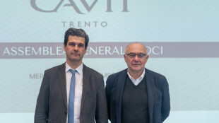 Fatturato a 242,8 milioni per il Cavit, l'export è pari al 75%