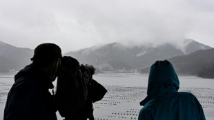 Japon: la pluie offre un r&eacute;pit face au pire incendie de for&ecirc;t depuis 50 ans