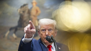 Trump ouvre la porte &agrave; un compromis dans sa guerre commerciale contre le Canada et le Mexique