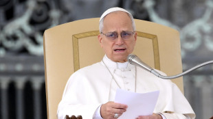 Il Papa ricorda il parroco del Libano e invoca pace in Iran e in Medio Oriente