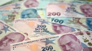 Turkey hikes interest rates but disappoints markets