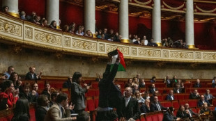El Parlamento franc&eacute;s sanciona a un diputado por mostrar una bandera palestina