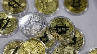 Oam, pi&ugrave; italiani con cripto, cala valore dei portafogli