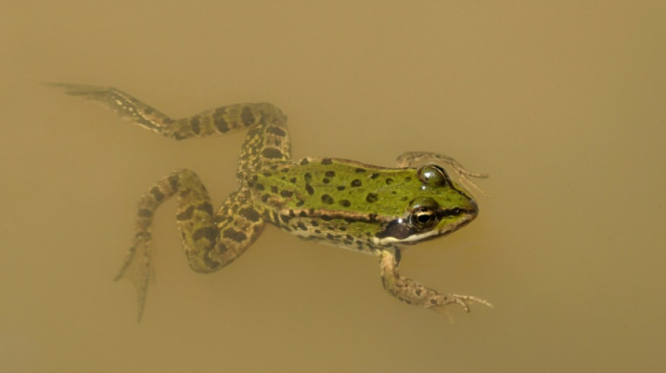 Koalition will für Ausbau von Straßen und Schienen Verbandsklagerecht einschränken