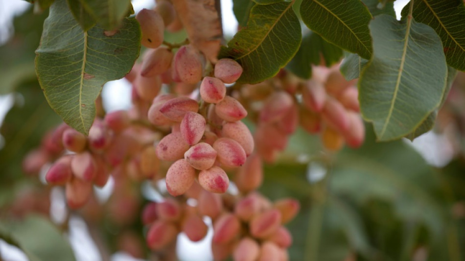 Revisan a la baja la inflaci&oacute;n en Espa&ntilde;a en enero, al 2,9% interanual