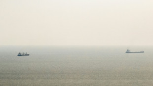 Ukraine claims Russian drones fell on Romania overnight